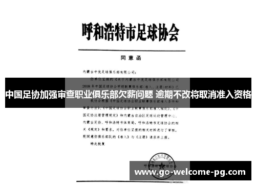 中国足协加强审查职业俱乐部欠薪问题 逾期不改将取消准入资格 中国足协加强审查职业俱乐部欠薪问题 逾期不改将取消准入资格